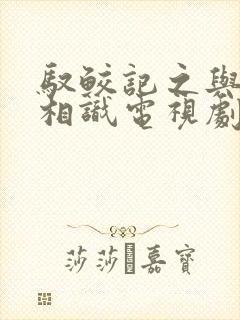 驭鲛记之与君初相识电视剧免费