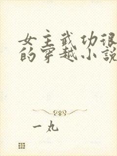 女主武功很厉害的穿越小说