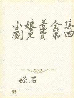 小娘惹全集电视剧免费第四十集