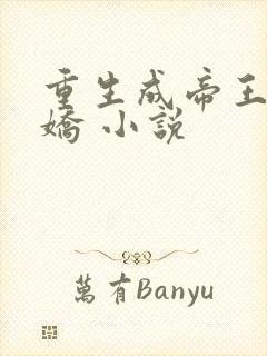 重生成帝王掌中娇 小说