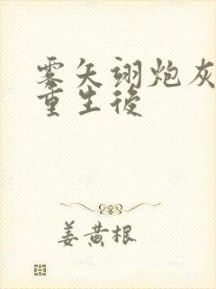 雾矢翊炮灰美人重生后