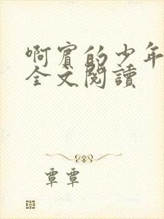 啊宾的少年在线全文阅读