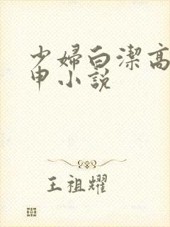 少妇白洁高义王申小说