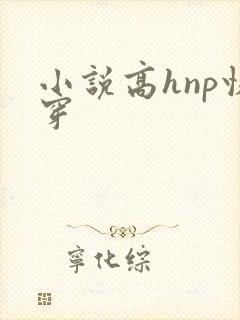 小说高hnp快穿封面