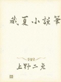 藏夏小说笔趣阁