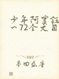 少年阿宾钰慧1～72全文目录免费阅读