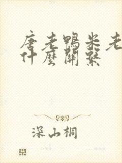 唐老鸭米老鼠是什么关系