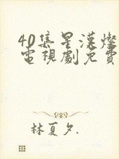 40集星汉灿烂电视剧免费看全集