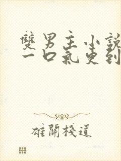 双男主小说推文一口气更到底封面