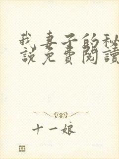 我妻子的秘密小说免费阅读