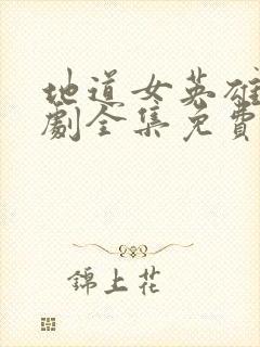 地道女英雄电视剧全集免费地道女英雄封面