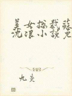 美女总裁苏若雪沈浪小说免费阅读封面