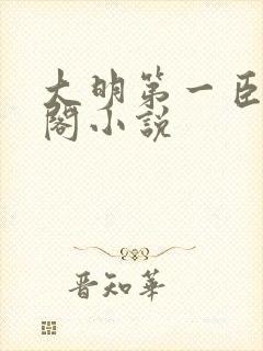 大明第一臣笔趣阁小说