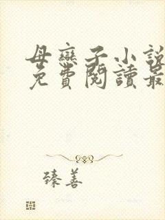 母恋子小说全文免费阅读最新章节封面