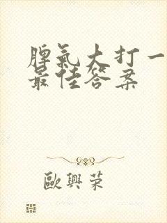 脾气大打一生肖最佳答案封面