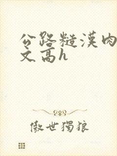 公路糙汉肉多荤文高h