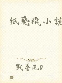 纸飞机小说