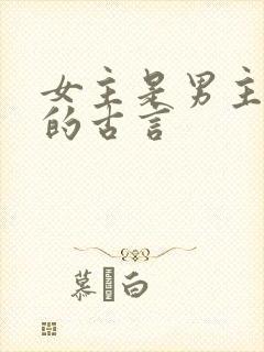 女主是男主小妾的古言