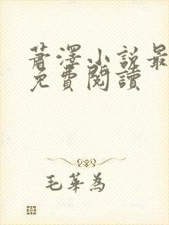 萧泽小说最新版免费阅读