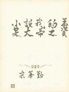 小说我的弟子全是大帝之资别让我通宵免费阅