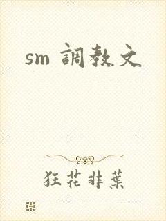 sm 调教文