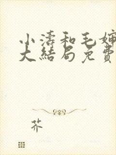 小涛和毛婶小说大结局免费阅读