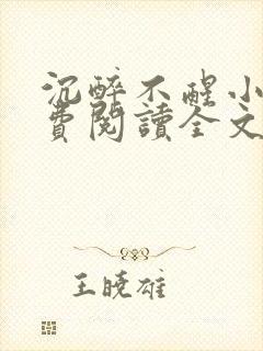 沉醉不醒小说免费阅读全文无弹窗