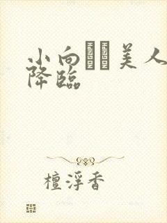 小向まな美人妻降临