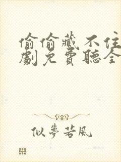 偷偷藏不住广播剧免费听全集