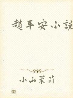 赵平安小说主角封面