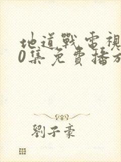 地道战电视剧40集免费播放