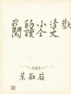 我的小清欢阅读阅读全文