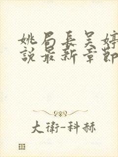 姚局长吴婷婷小说最新章节封面