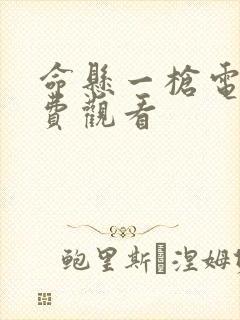 命悬一枪电影免费观看