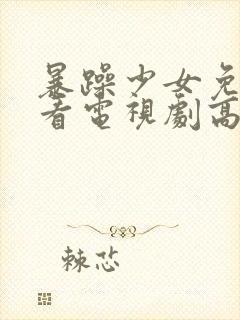 暴躁少女免费观看电视剧高清