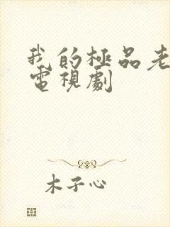 我的极品老妈 电视剧