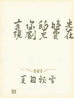 有你的时光里电视剧免费在线观看