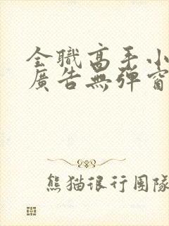 全职高手小说无广告无弹窗