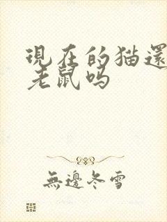 现在的猫还会捉老鼠吗