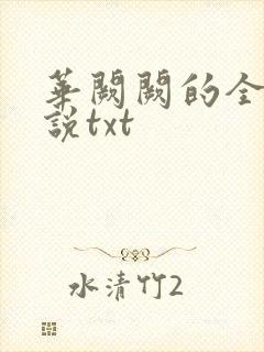 华阙阙的全部小说txt