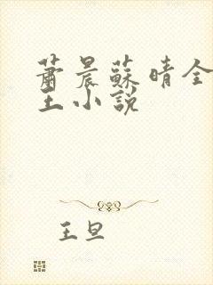 萧晨苏晴全能兵王小说