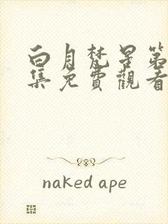 白月梵星第十一集免费观看完整版