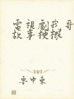 电视剧我哥我嫂故事梗概