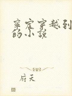 宁宸穿越到大玄的小说