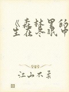 《森林里的熊先生在冬眠中》