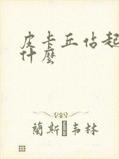 皮卡丘站起来叫什么