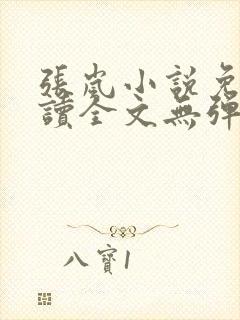 张岚小说免费阅读全文无弹窗封面