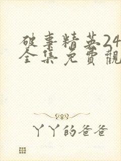 破事精英24集全集免费观看