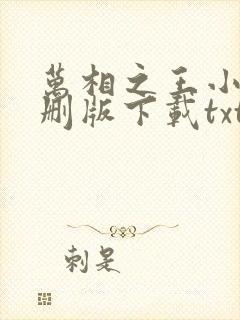 万相之王小说未删版下载txt