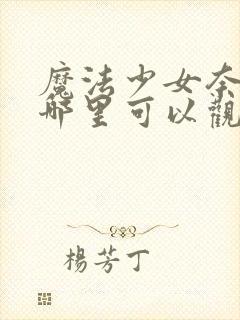 魔法少女奈叶在哪里可以观看